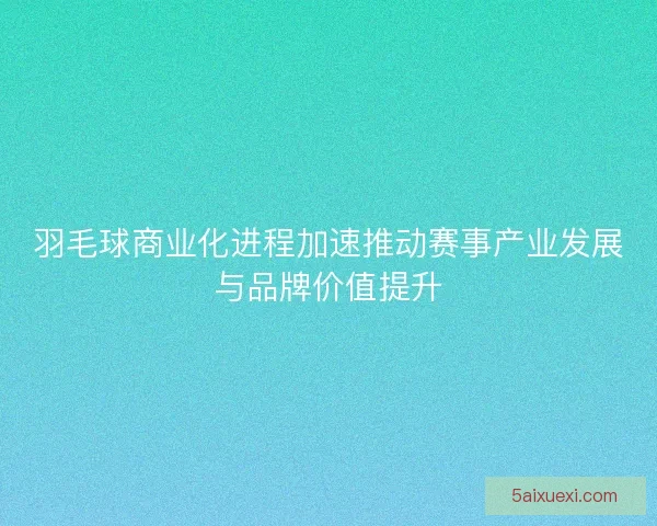 羽毛球商业化进程加速推动赛事产业发展与品牌价值提升