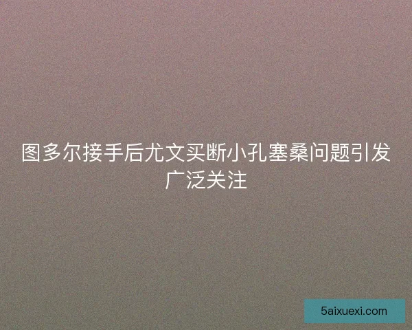 图多尔接手后尤文买断小孔塞桑问题引发广泛关注