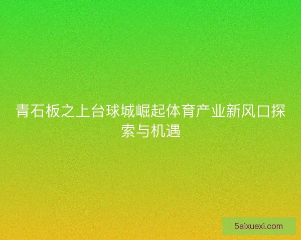 青石板之上台球城崛起体育产业新风口探索与机遇