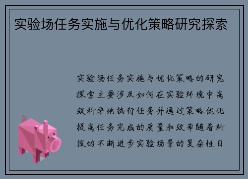 实验场任务实施与优化策略研究探索